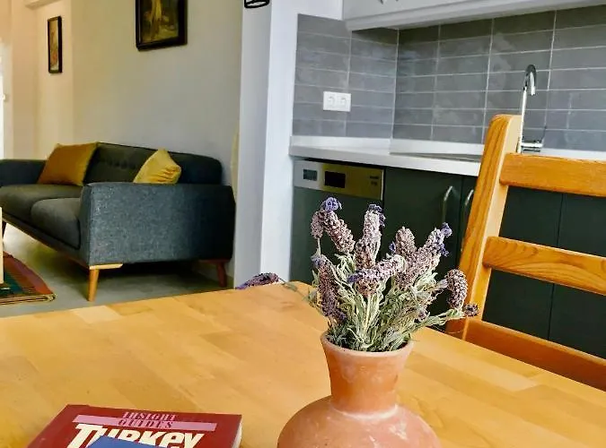 Katya'S Home